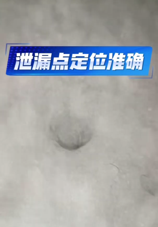 客户用气体漏水检测仪成功定位漏水点